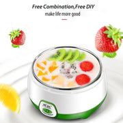 Mini Automatic Yogurt Machine